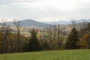 Distant Valley