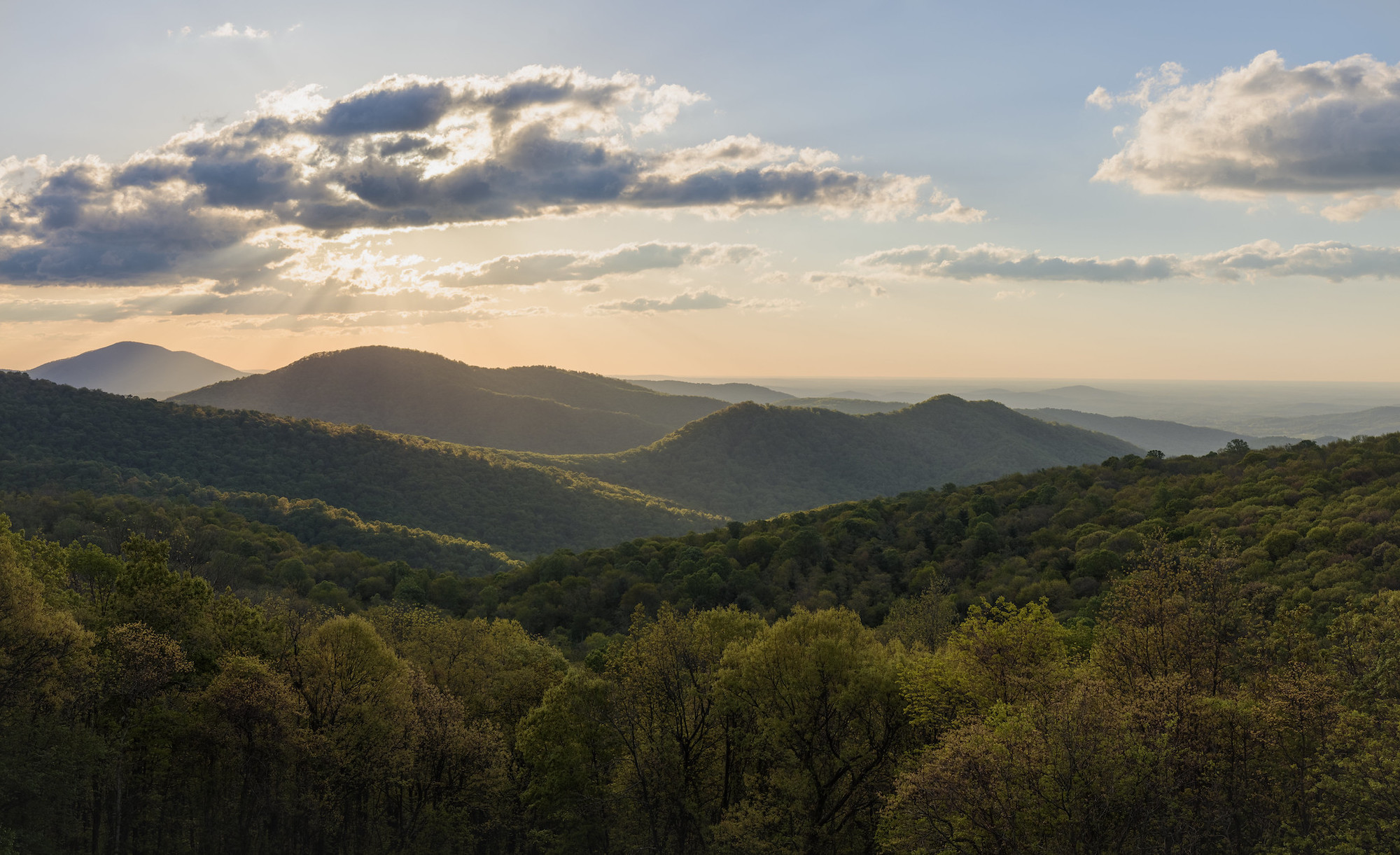 Rolling green hills and dense forest under partly cloudy sky, illuminated by warm sunlight near sunset, creating a serene, picturesque landscape.