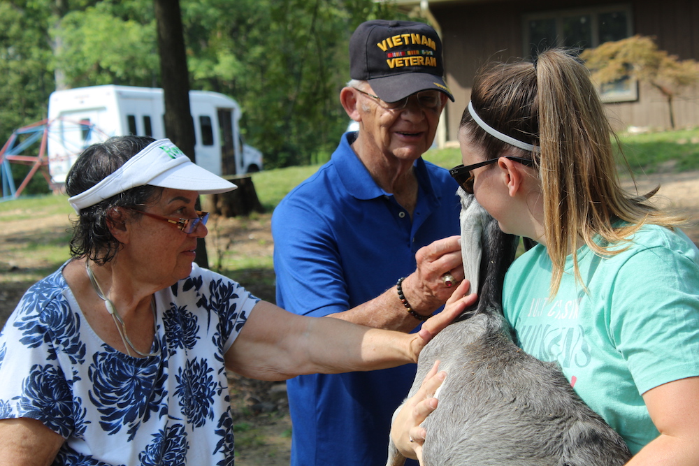 Three people pet a goat outdoors, with trees and a parked trailer in the background. The scene is casual and relaxed.