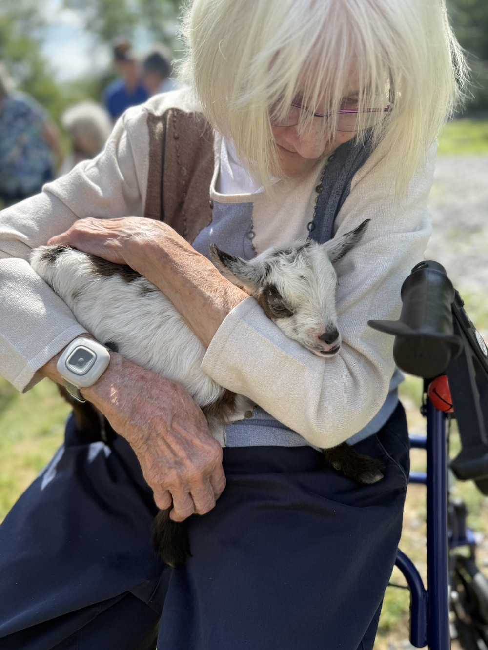 A person with white hair lovingly cradles a small goat. The background is a sunny outdoor setting with blurred figures and greenery.