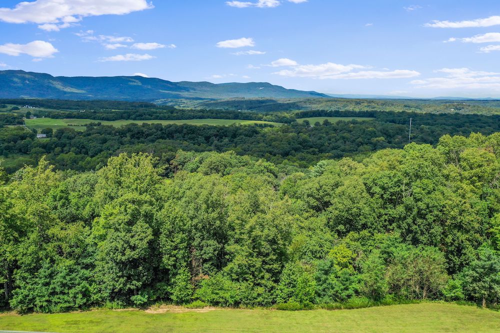 Assisted Living 36 Expansive landscape with lush green forests, rolling hills, and distant mountains under a clear blue sky. No recognizable landmarks or buildings present.