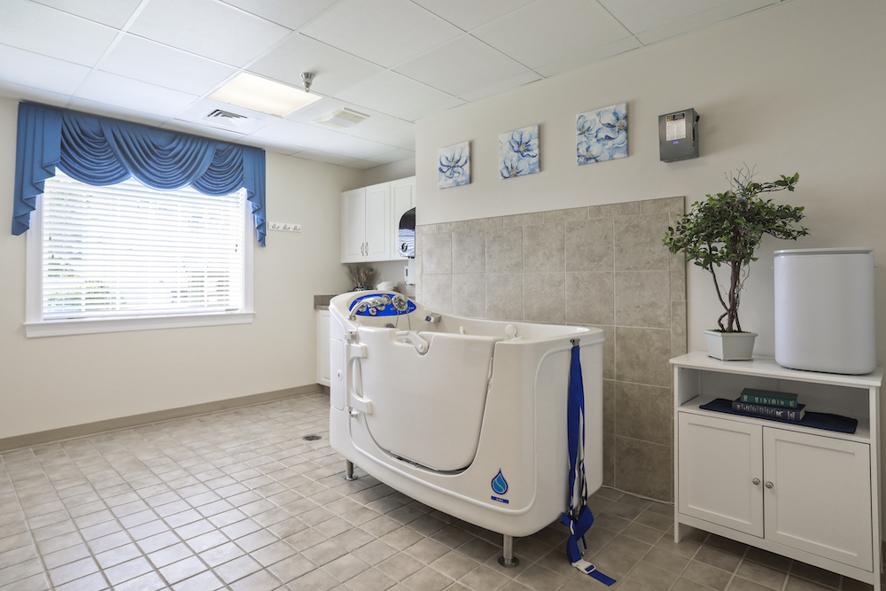Assisted Living 5 A clean, well-lit bathroom with a large walk-in bathtub, blue curtains, white cabinets, a small shelf, plants, and decorative wall art.