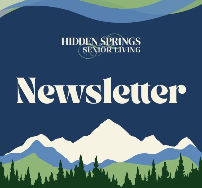Newsletter cover for Hidden Springs Senior Living featuring stylized mountains and forest in blue and green tones.